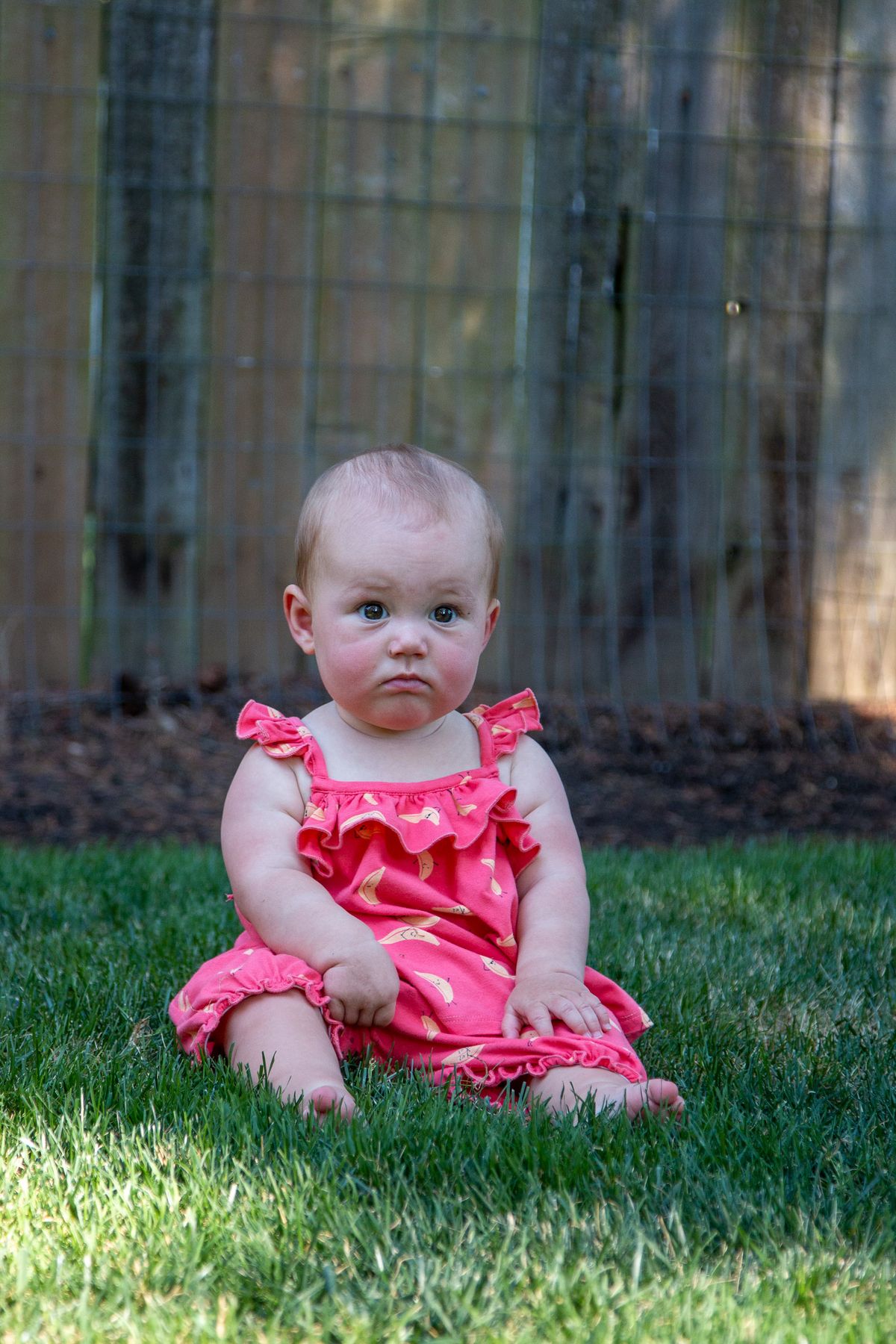 Prénom Ellie, bébé